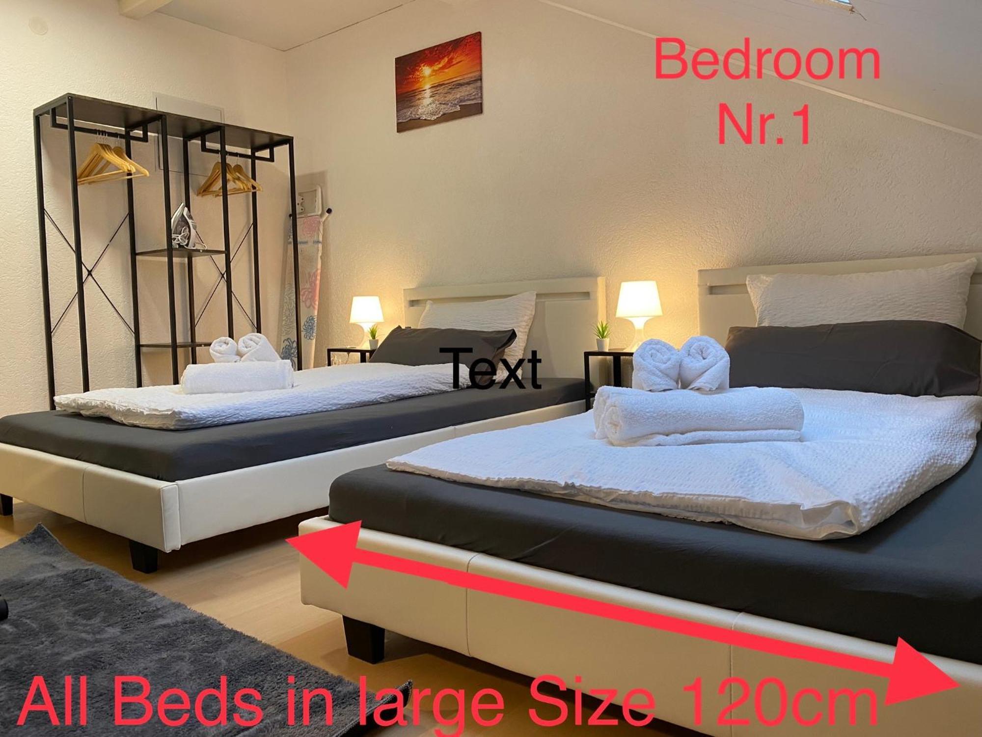 Deluxe Business Suite Mit Netflix Premium & Parkplatz, Zentral Zu Audi & Schwarz Gruppe With 2 Bedrooms Bad Friedrichshall Eksteriør bilde