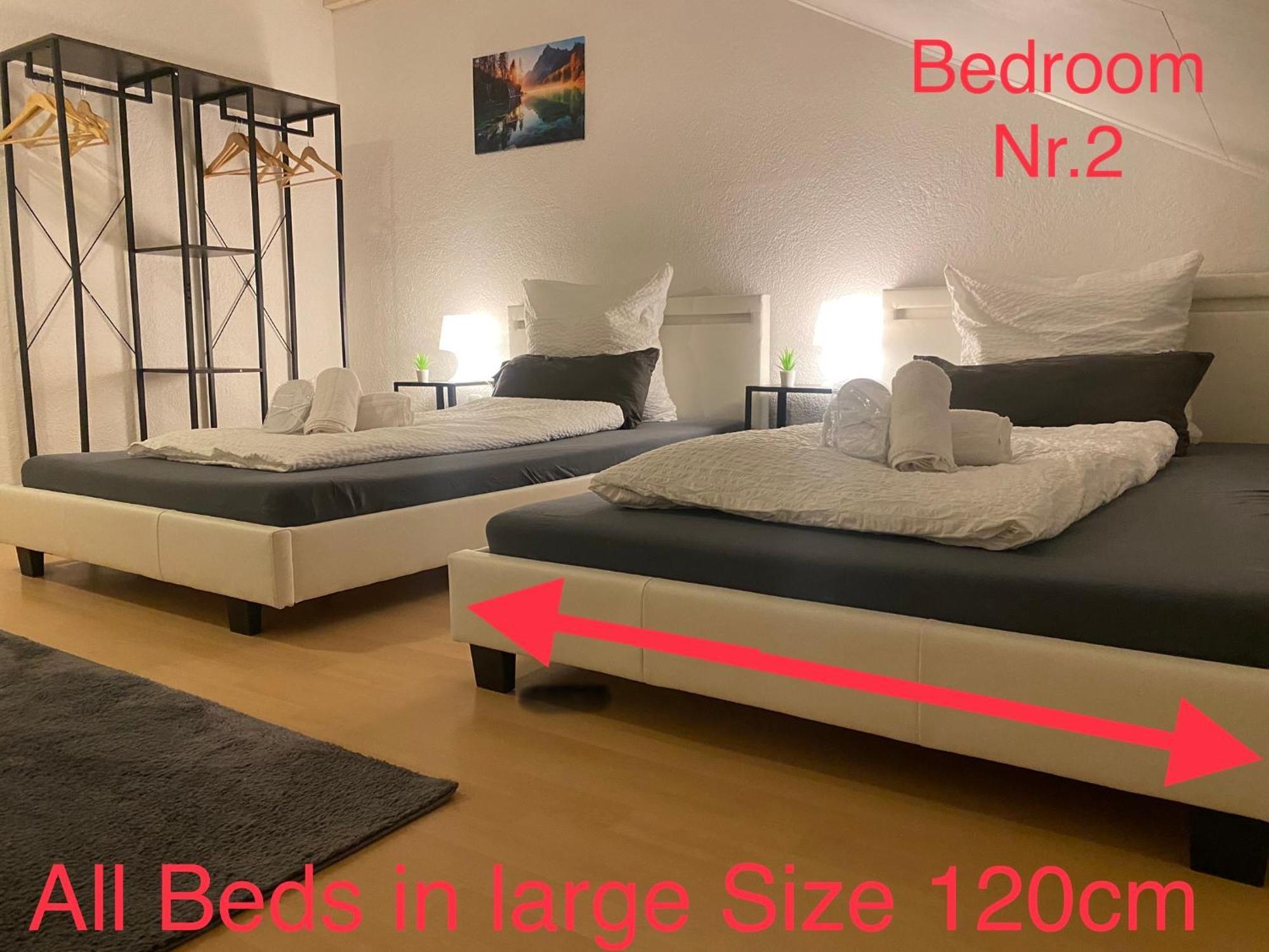 Deluxe Business Suite Mit Netflix Premium & Parkplatz, Zentral Zu Audi & Schwarz Gruppe With 2 Bedrooms Bad Friedrichshall Eksteriør bilde